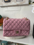 CC Medium Size Purse