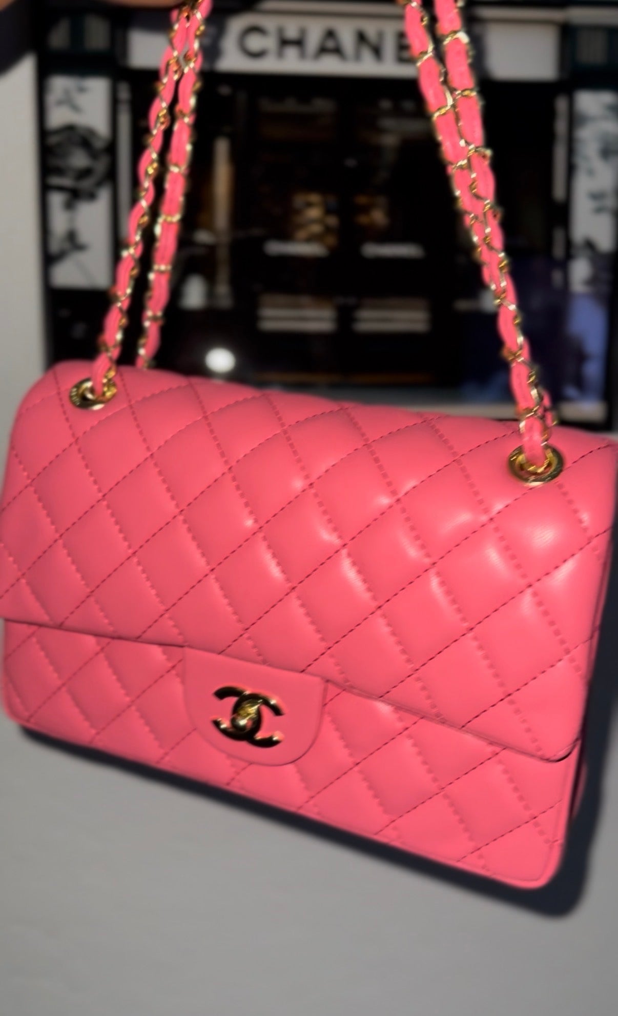 CC medium Purse
